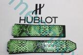      HUBLOT  5567