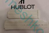          Hublot  310